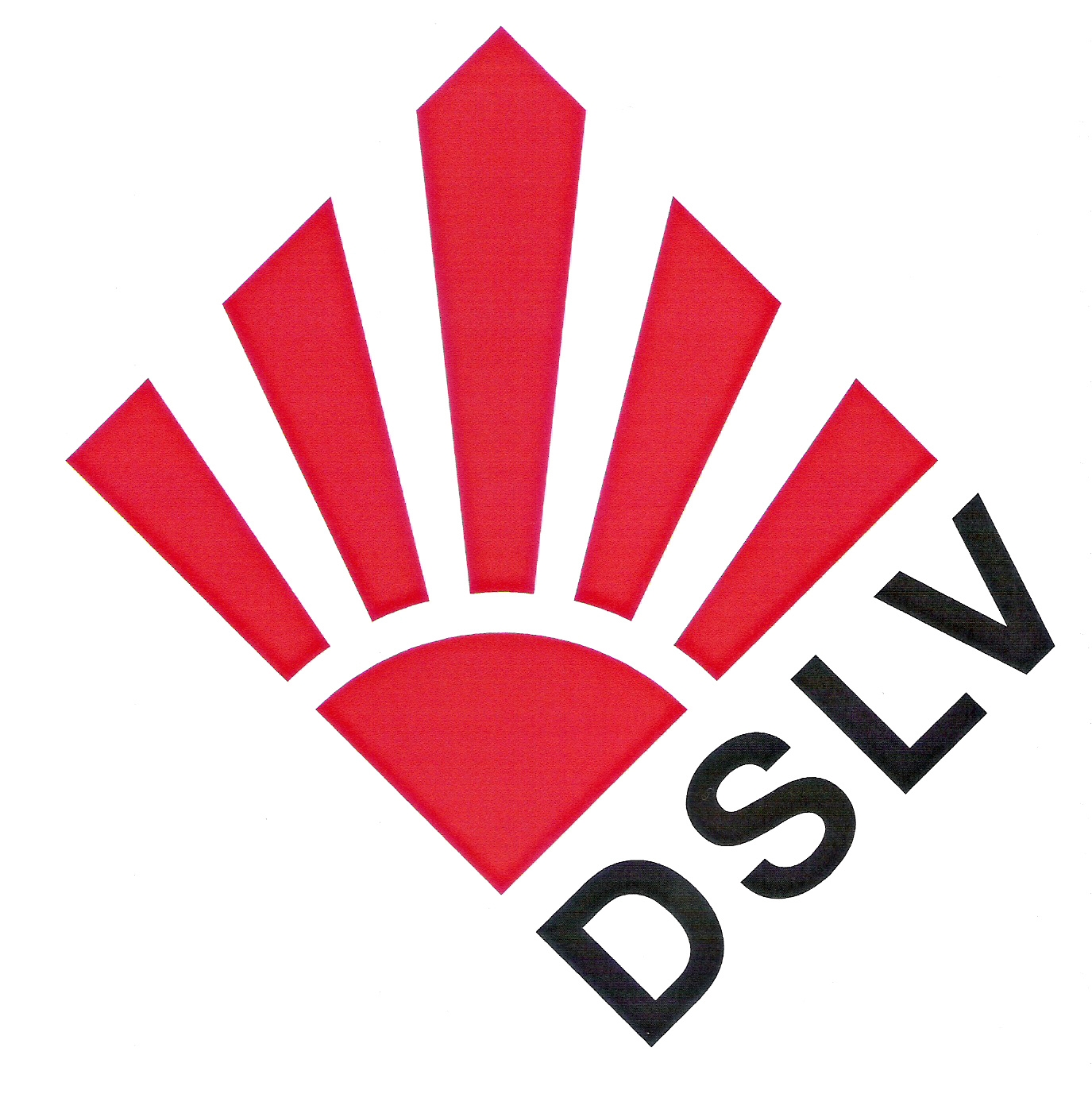 Das Logo des DSLVs